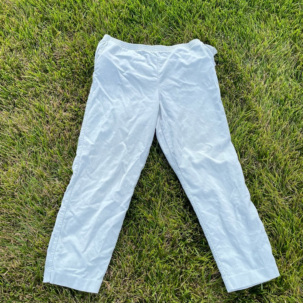 alfred dunner petite pants